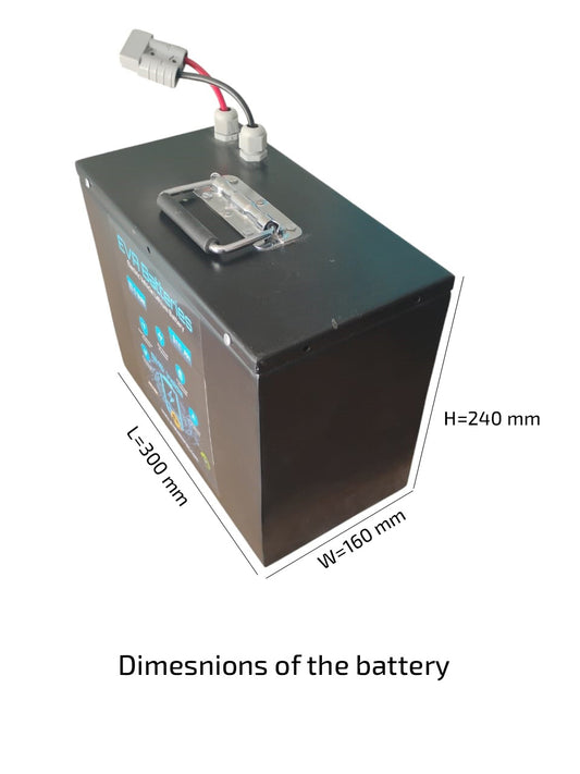 12V 100Ah Inverter Battery (LiFePo4)